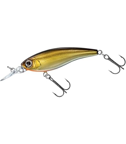 Amazon.co.jp: ダイワ(DAIWA) バスルアー STEEZサイレント